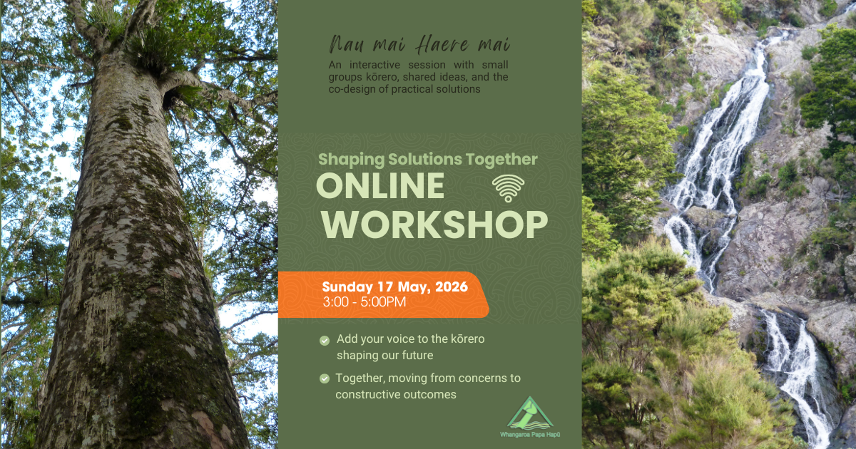 Online Workshop 17May26